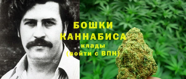 стаф Арсеньев