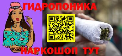 шишки Апрелевка