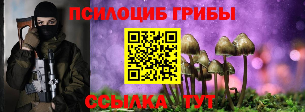 Галлюциногенные грибы Psilocybine cubensis Ханты-Мансийск